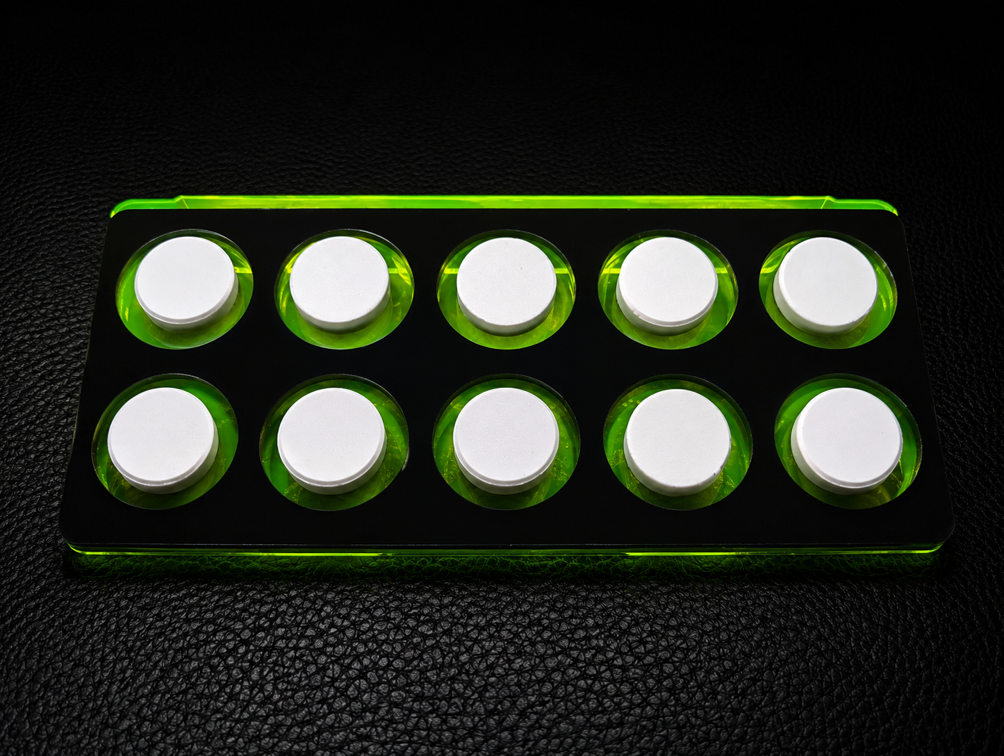 ReefStage Korallen Frag Plugs – 10 Stück (Ø 20 mm)