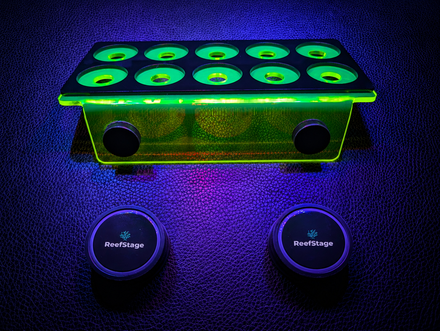 ReefStage GlowRack – Magnetisches Korallen Frag Rack fluoreszierend für Meerwasseraquarium (10 Slots, bis 15 mm Glas)