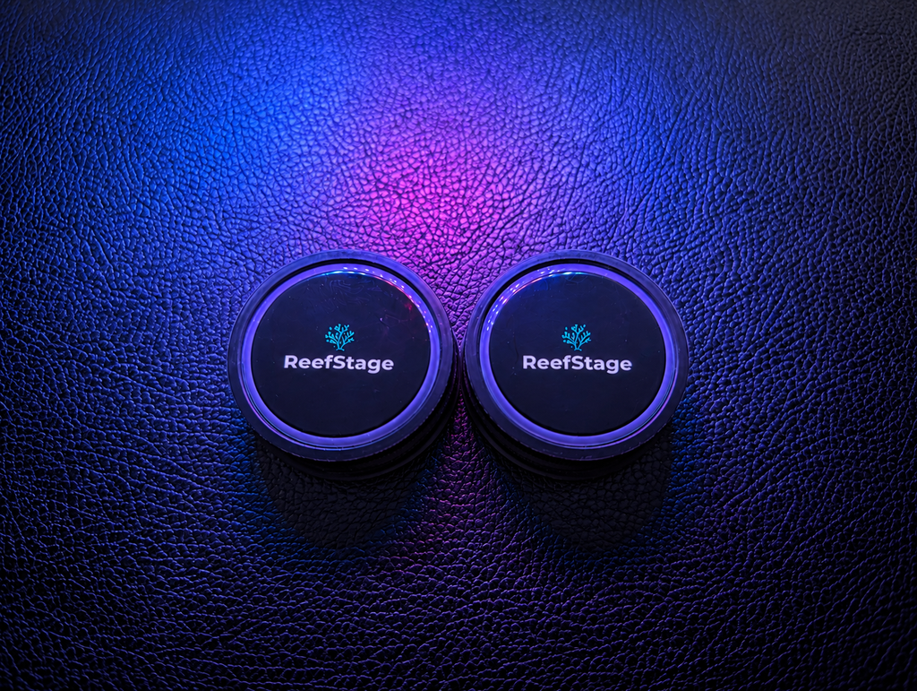 ReefStage GlowRack – Magnetisches Korallen Frag Rack fluoreszierend für Meerwasseraquarium (10 Slots, bis 15 mm Glas)