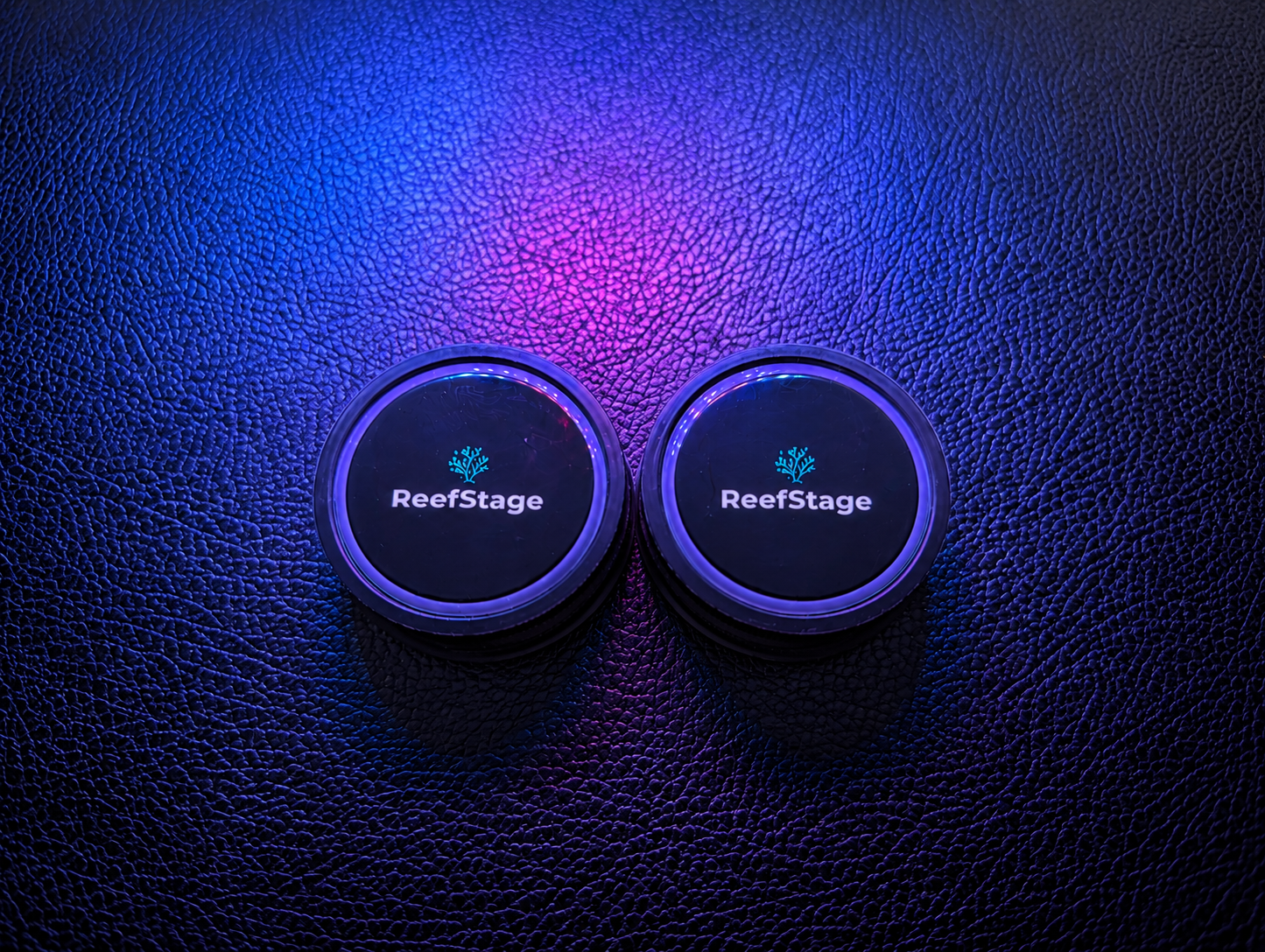 ReefStage GlowRack – Magnetisches Korallen Frag Rack fluoreszierend für Meerwasseraquarium (10 Slots, bis 15 mm Glas)