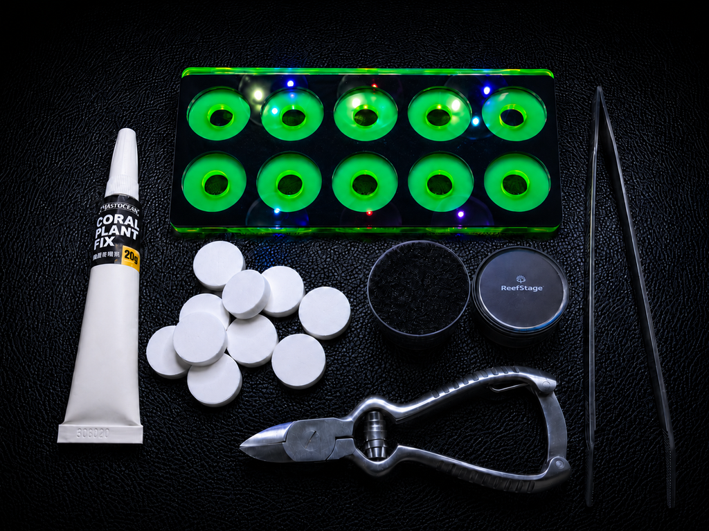 ReefStage GlowRack Starter Set – Komplettset für Korallenableger & Fraging